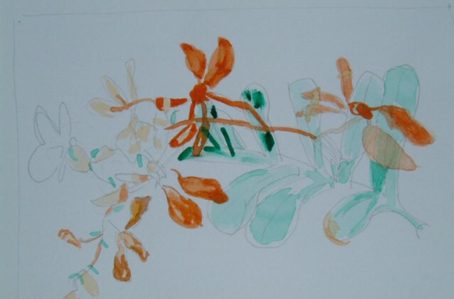 From Japanese Flowers and Butterfly