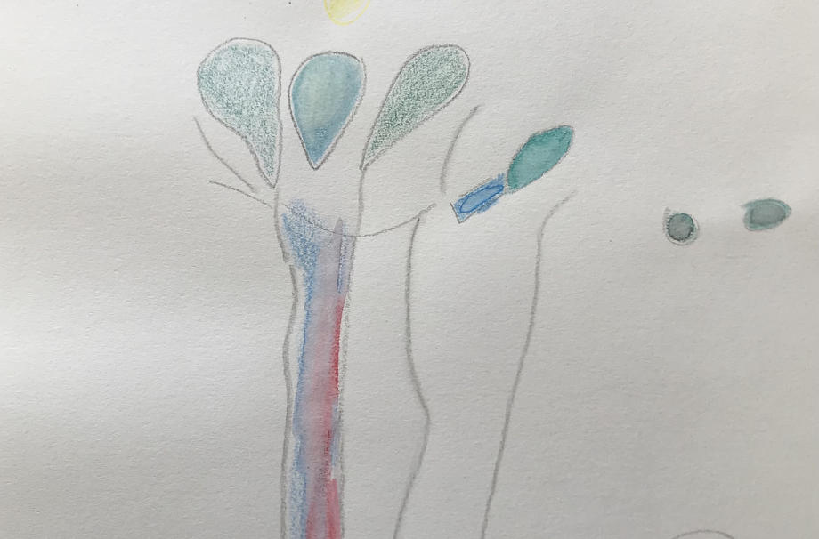 Sketch from Swedish Series